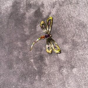 Monet jeweled dragonfly